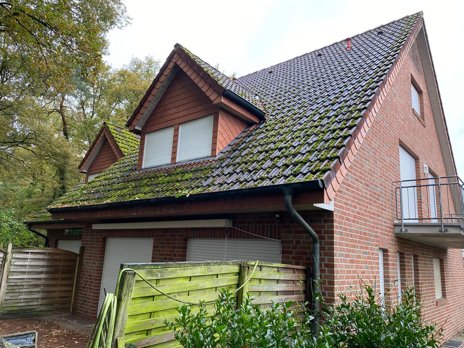 Dachreinigung Vorher Beispiel 2